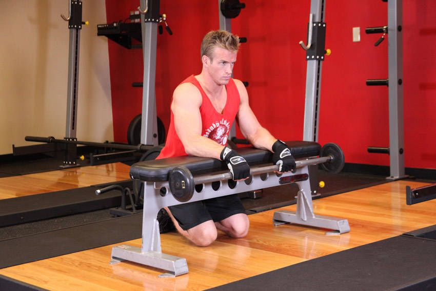 Barbell Reverse Wrist Curl exercise demonstration, targeting the forearms