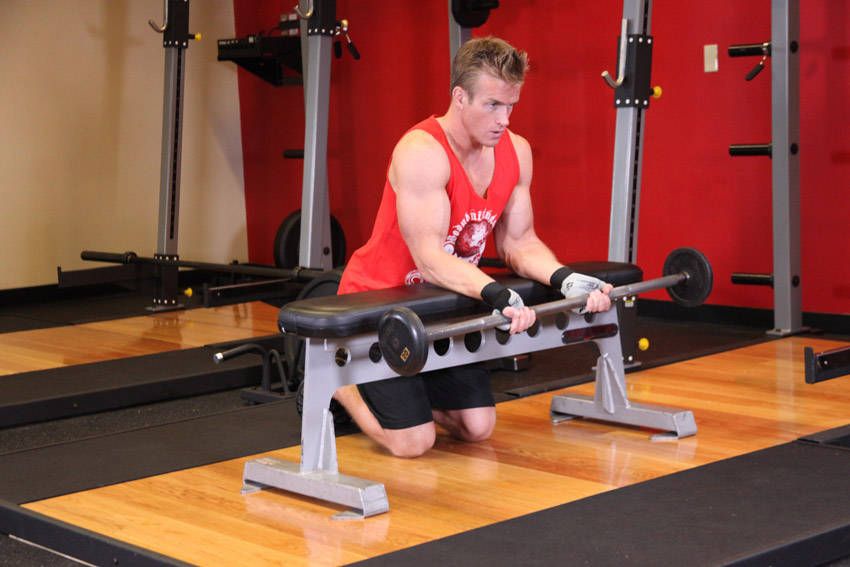 Barbell Wrist Curl exercise demonstration, targeting the forearms