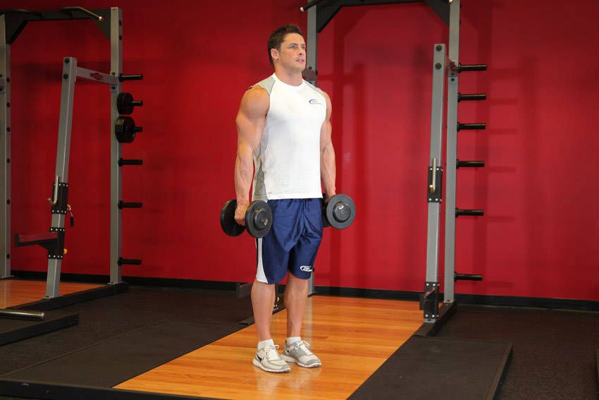 Hammer Curl exercise demonstration, targeting the biceps