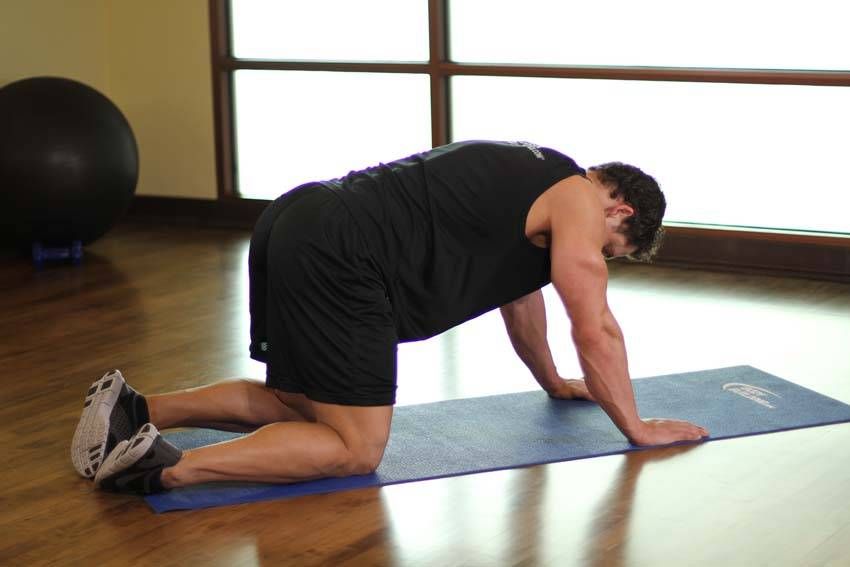 Cat-Cow Stretch exercise demonstration, targeting the back