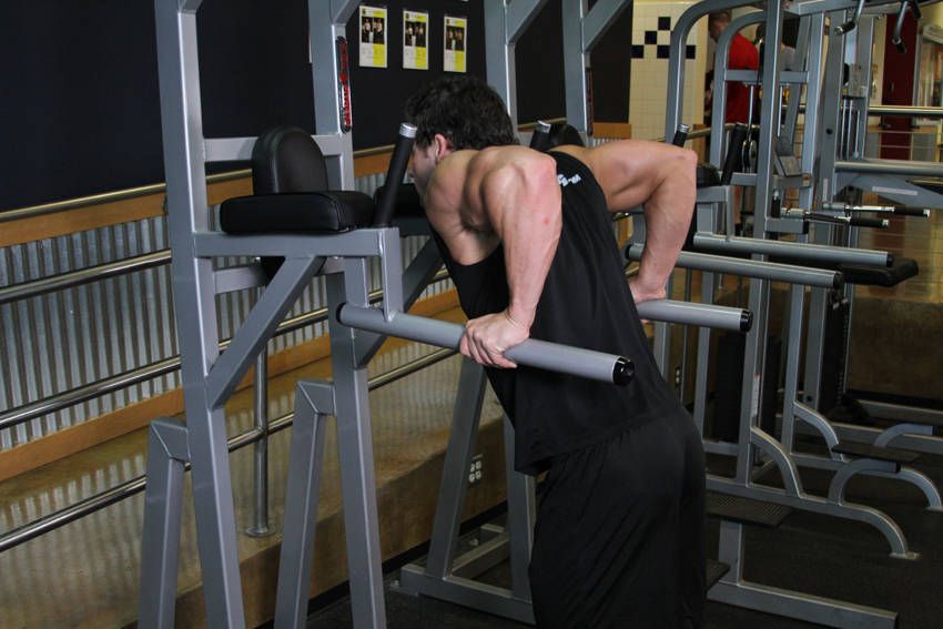 Tricep Dip exercise demonstration, targeting the triceps