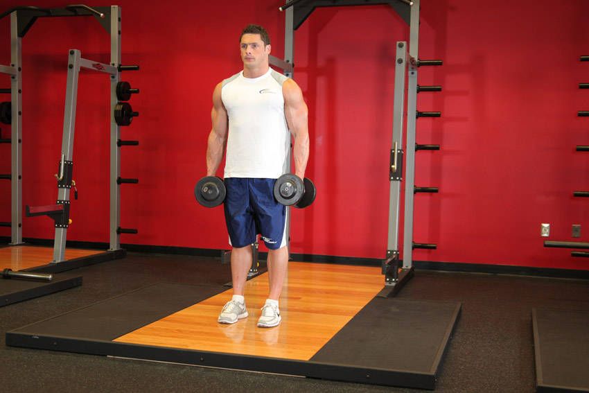 Dumbbell Curl exercise demonstration, targeting the biceps