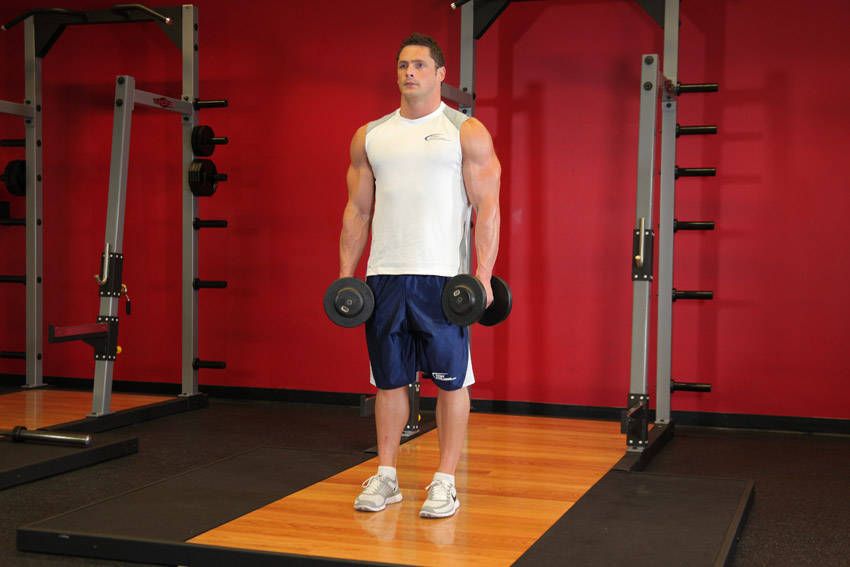 Dumbbell Shrug exercise demonstration, targeting the traps