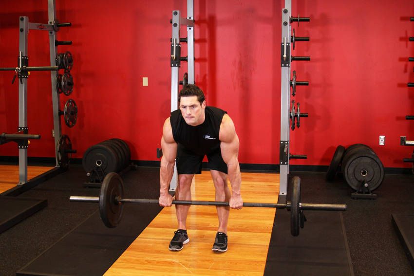 Romanian Deadlift exercise demonstration, targeting the hamstrings