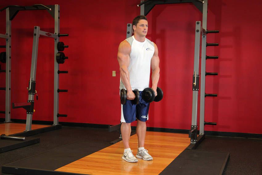 Dumbbell Front Raise exercise demonstration, targeting the shoulders