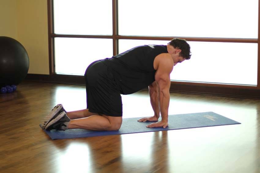 Kneeling Wrist & Forearm Stretch exercise demonstration, targeting the forearms