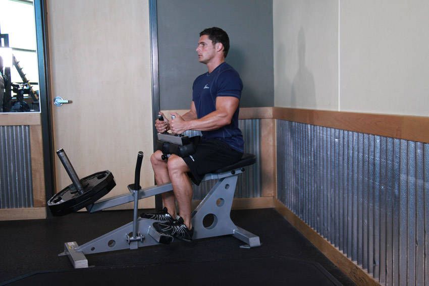 Seated Calf Raise exercise demonstration, targeting the calves