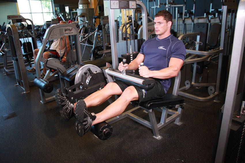 Seated Leg Curl exercise demonstration, targeting the hamstrings
