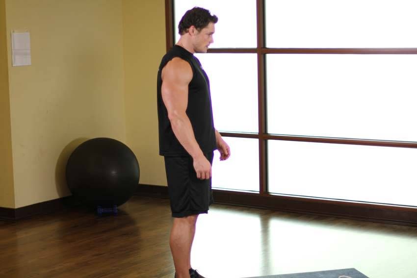 Standing Toe-Touch Stretch exercise demonstration, targeting the hamstrings