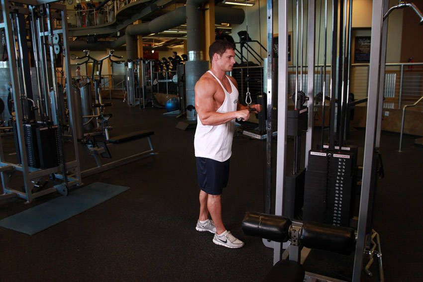Tricep Pushdown exercise demonstration, targeting the triceps